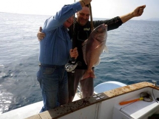  Freccia delle Egadi10 